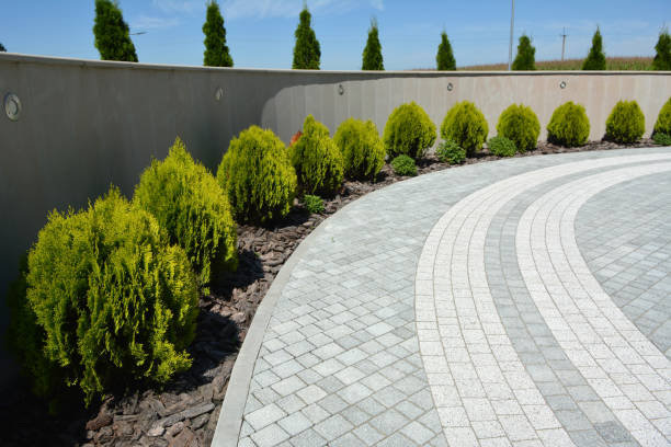 Reasons to Select Us for Your Driveway Paving Requirements in Beverly Hills, MI